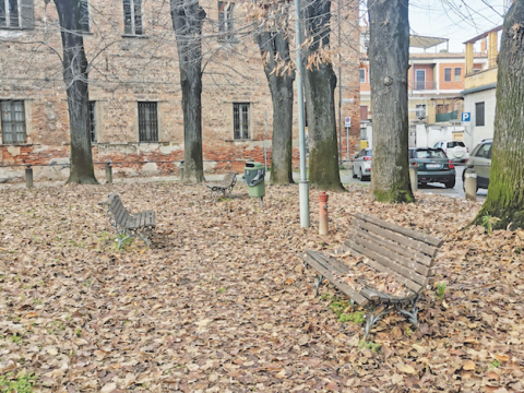 Passate le celebrazioni… sono rimaste le foglie marce