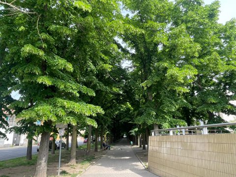 Altri fondi per la lotta alla droga nelle scuole