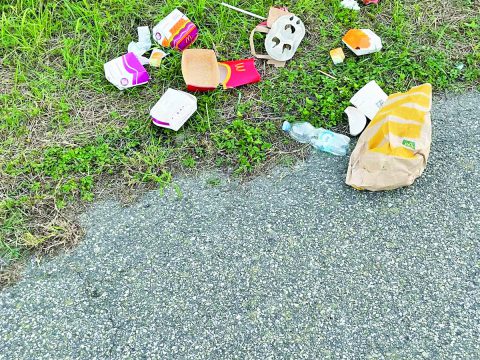 Lattine, plastica e bottiglie La città è invasa dai rifiuti