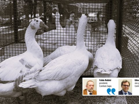 Niente Mostra del Palmipede né OcheBontà. Il Comitato si sfila: «Snaturata la Sagra»