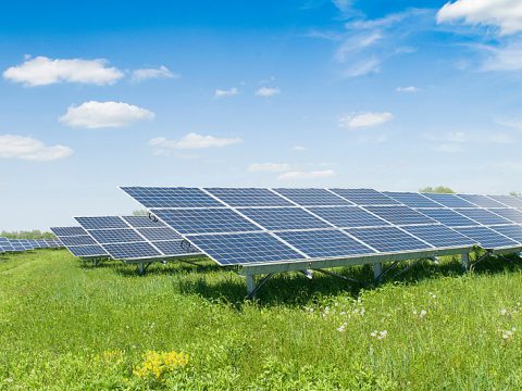 Un altro maxi impianto agrivoltaico. Mortara sacrificata ai pannelli