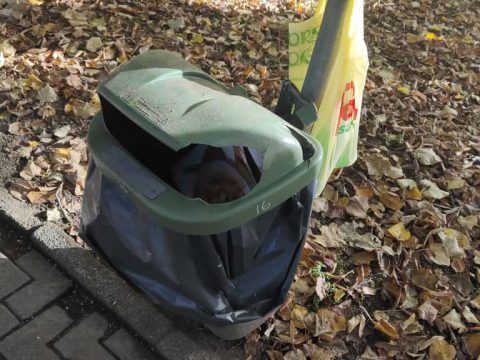 Trovare un cestino è spesso una… Caccia al tesoro