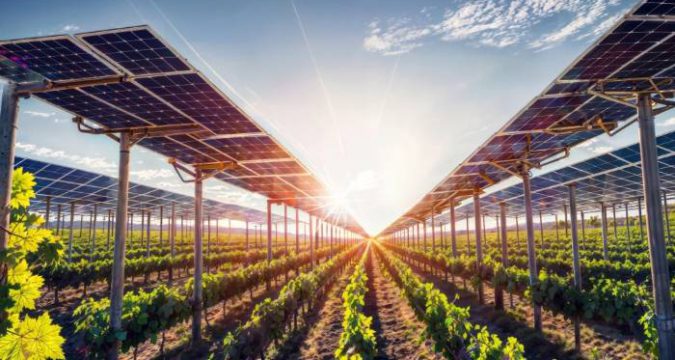 Approvato il progetto per l’agrivoltaico