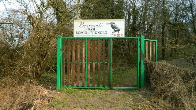 MORTARA E DINTORNI NELLA STORIA – Dove la natura ha resistito: il Bosco del Vignolo