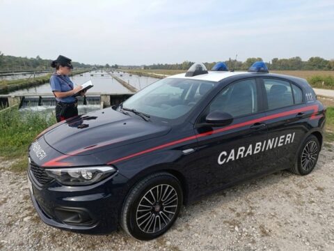 Maxi razzia di storioni, danno da 20mila euro: identificata la banda