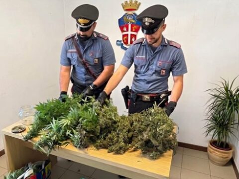 Sequestrato oltre un chilo di marijuana: denunciato un trentenne